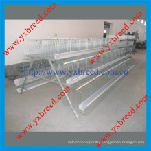 New Design Chicken Layer Cages